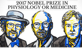 3 nhà khoa học người Mỹ dành giải nobel y học 2017